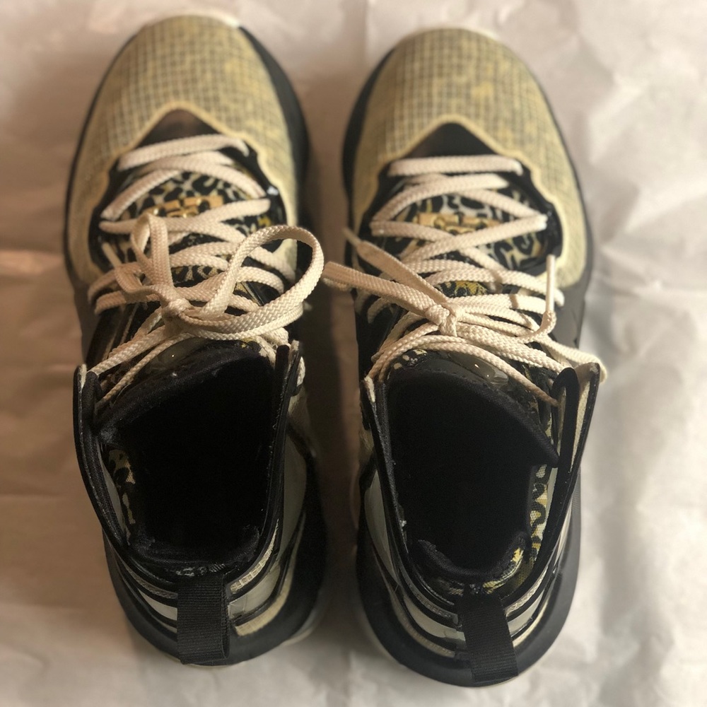Nike Lebron 19
